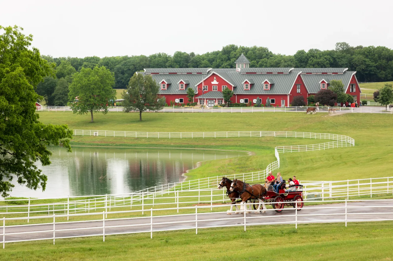 A Clydesdale hitch pulling a wagon past the red barn and white fences at Warm Springs Ranch