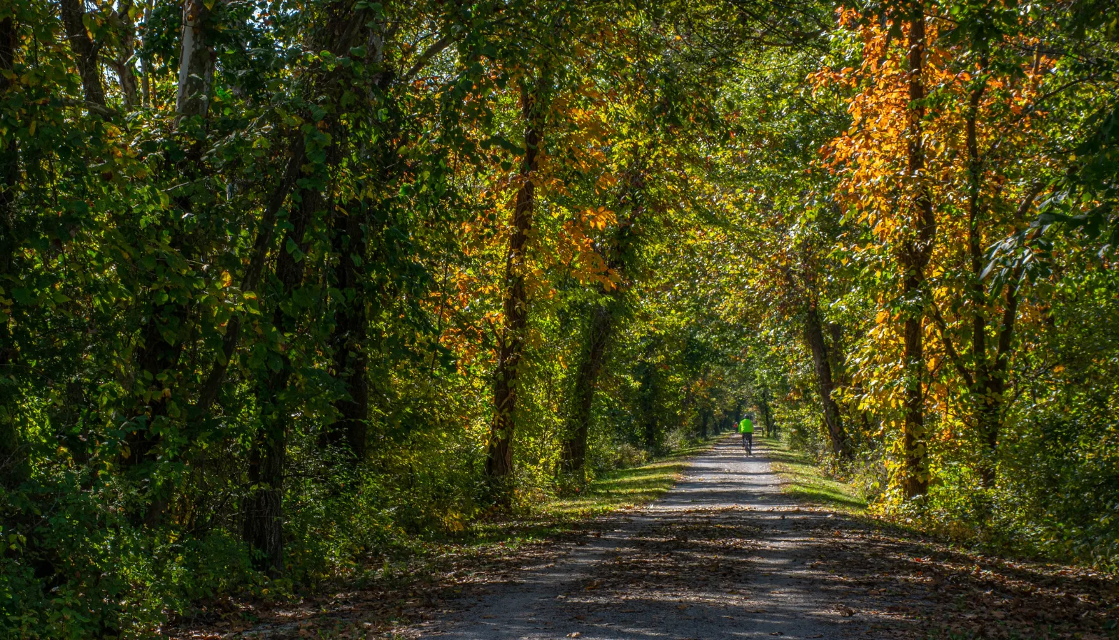 Sunlit crushed-limestone Katy Trail running under a canopy of turning trees